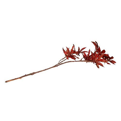 Floristik24 Gałązka dekoracyjna ciemnoczerwona z miką 52cm