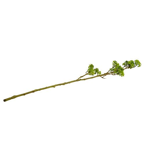 Floristik24 Gałąź dekoracyjna zielona 80 cm