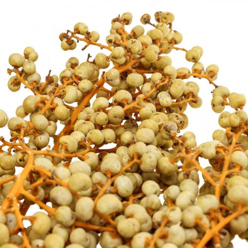 Floristik24 Gałązki dekoracyjne jagody suszone palma konopna Uva naturalne 1kg