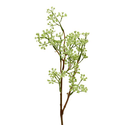 Floristik24 Gałązka dekoracyjna zielona L43cm 4szt.