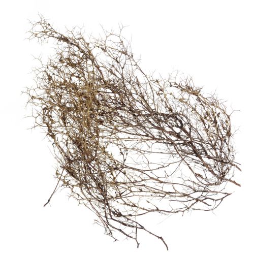 Floristik24 Deco gałęzie Iron Bush gałęzie naturalna dekoracja drewno natura 250g