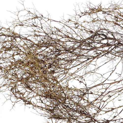 Produkt Deco gałęzie Iron Bush gałęzie naturalna dekoracja drewno natura 250g