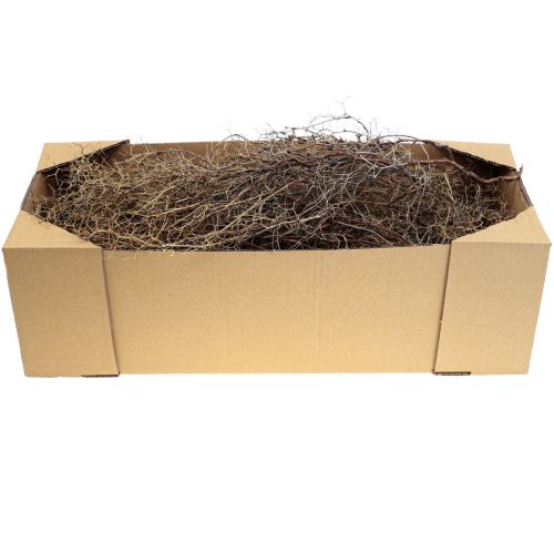 Produkt Deco gałęzie Iron Bush gałęzie naturalna dekoracja drewno natura 250g