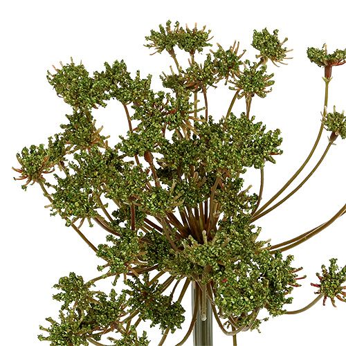Floristik24 Koper sztuczny zielony 76cm