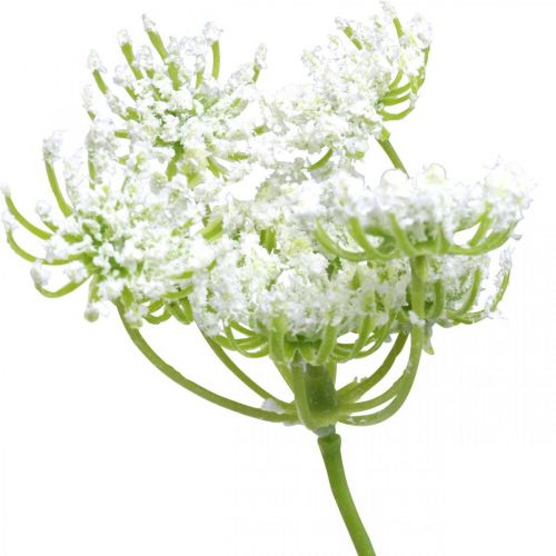 Floristik24 Koperek kwitnący, sztuczna roślina, sztuczne zioła zielony, biały dł.80cm