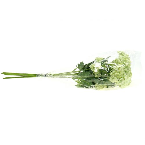 Produkt Koper sztuczny biały 49cm 6 szt