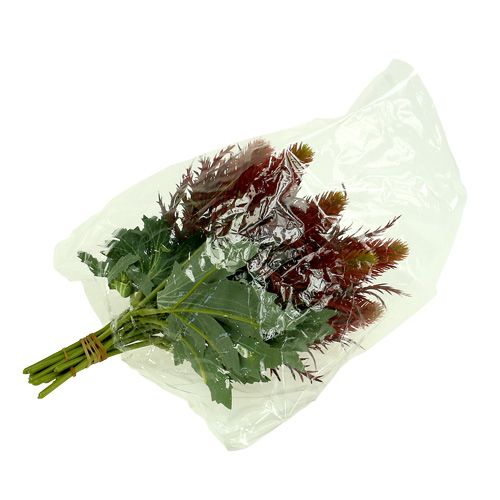 Floristik24 Oset czerwono-zielony 20cm 12szt