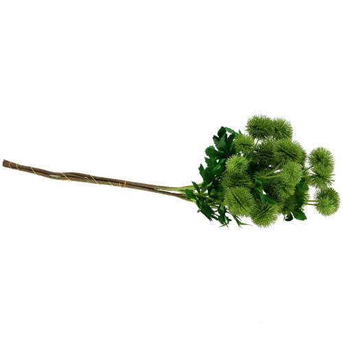 Floristik24 Kwiat jedwabny oset zielony 56cm 3szt.