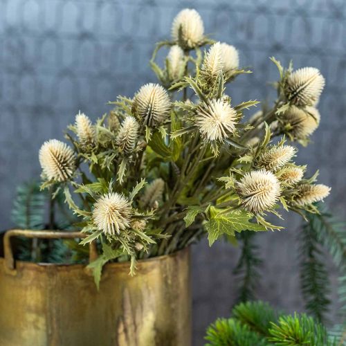 Produkt Thistle sztuczna dekoracyjna gałązka kremowa 10 główek kwiatowych 68cm 3szt