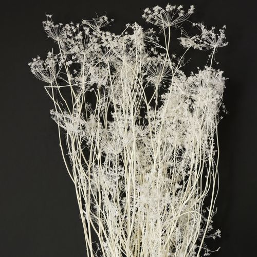 Suszone kwiaty baldaszkowate białe 70-80cm 150g