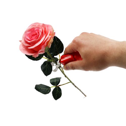Floristik24 Odstraszacz róż