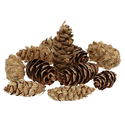 Produkt Szyszki Douglasa 1,3kg