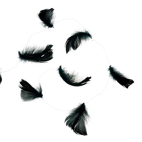 Floristik24 Drut z sprężyną czarny 10m