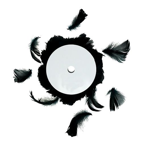 Floristik24 Drut z sprężyną czarny 10m