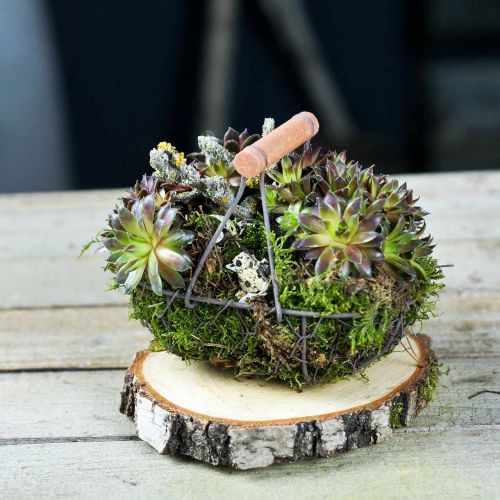 Floristik24 Koszyk druciany owalny z uchwytem szary 17×11cm wys. 15cm 2szt