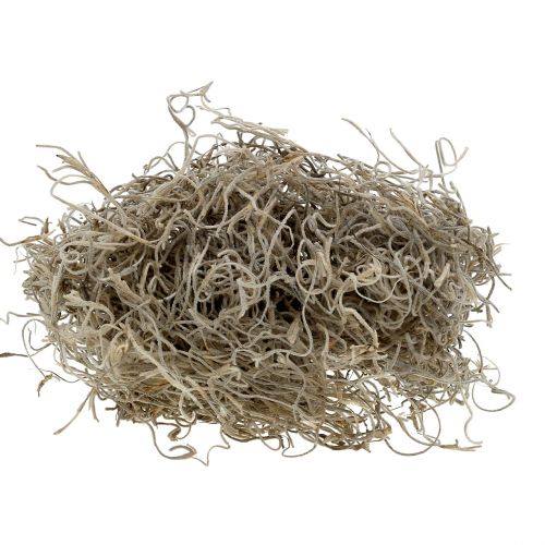 Floristik24 Jungle Moss Nature 250g