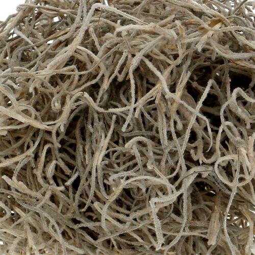 Floristik24 Jungle Moss Nature 250g
