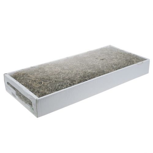 Floristik24 Jungle Moss Nature 250g