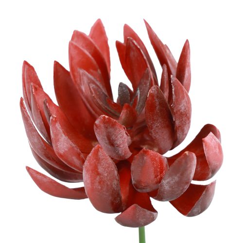 Soczyste Echeveria Sztuczne Rośliny Zielone Czerwone Ø12cm 19,5cm