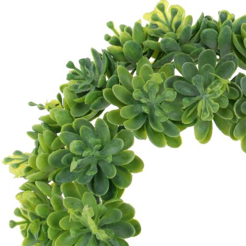 Floristik24 Wianek Echeveria zielony Ø18cm 4szt
