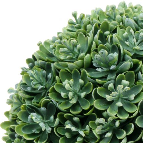 Floristik24 Echeveria kula sztuczna zielona Ø18cm