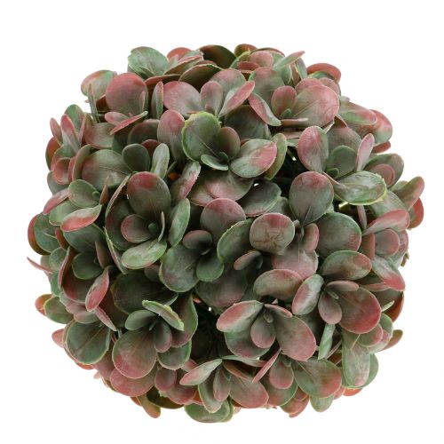 Floristik24 Echeveria kula sztuczna zielona, czerwona Ø22cm