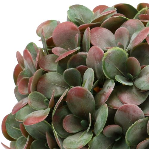 Echeveria kula sztuczna zielona, czerwona Ø22cm