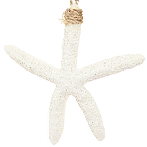 Produkt Prawdziwa dekoracja rozgwiazdy wieszak morski szary biały 10-14cm 4szt