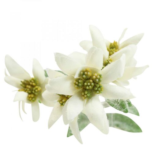 Floristik24 Edelweiss sztuczny kwiat biały flokowany 38cm