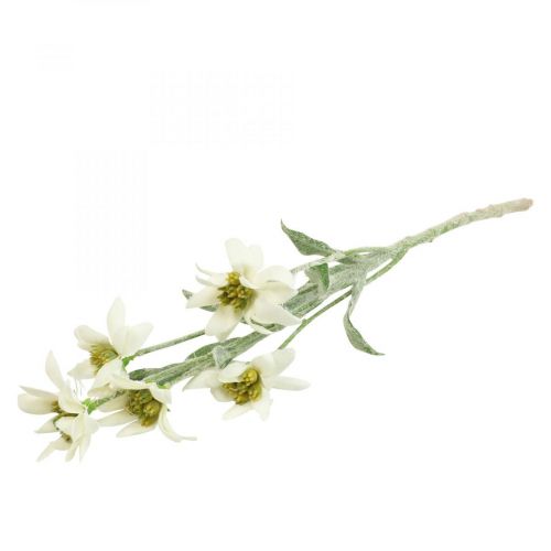 Floristik24 Edelweiss sztuczny kwiat biały flokowany 38cm
