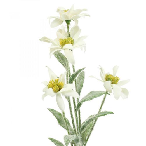 Floristik24 Edelweiss sztuczny kwiat biały flokowany 38cm