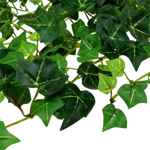 Floristik24 Bluszcz zielony wąs 70cm