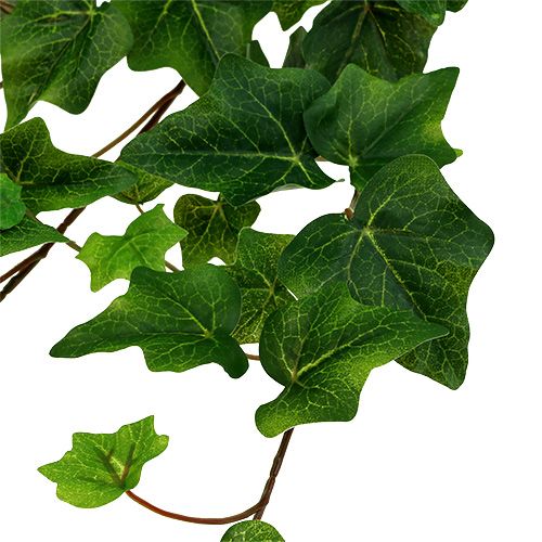 Floristik24 Sztuczny bluszcz zielony 60cm