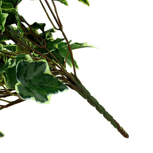 Floristik24 Wieszak na bluszcz biało-zielony 70cm