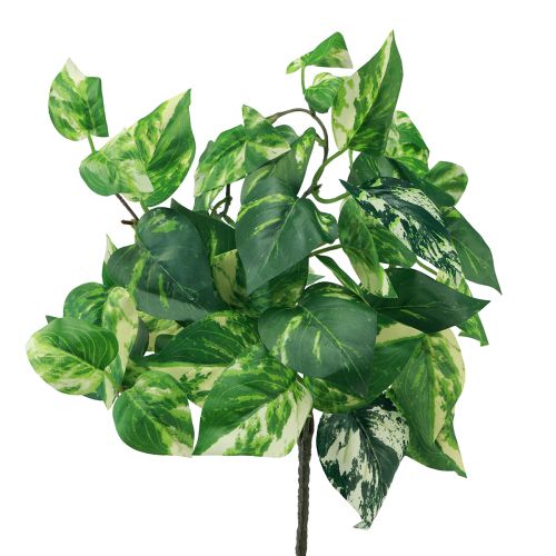 Floristik24 Bluszcz roślinny Pothos bluszcz sztuczny złoty wąs 50cm