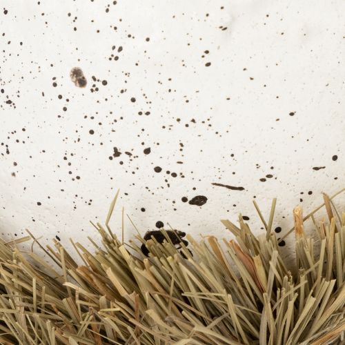 Produkt Miseczka gniazdowa wielkanocna w kształcie jajka do wiosennej dekoracji 11cm 4szt