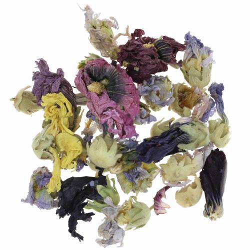 Floristik24 Zestaw do dekoracji suchych prawdziwy marshmallow naturalny 300g potpourri