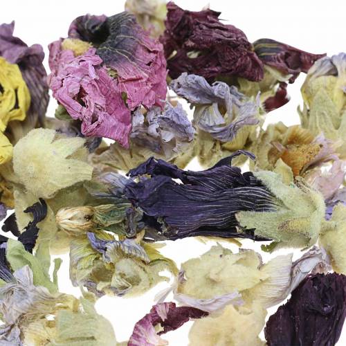 Floristik24 Zestaw do dekoracji suchych prawdziwy marshmallow naturalny 300g potpourri