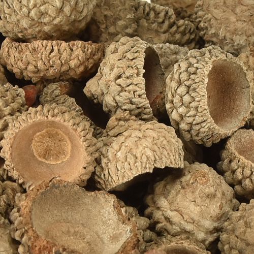 Produkt Czapki żołędziowe naturalne ozdobne żołędzie do rękodzieła 1,5cm 200g