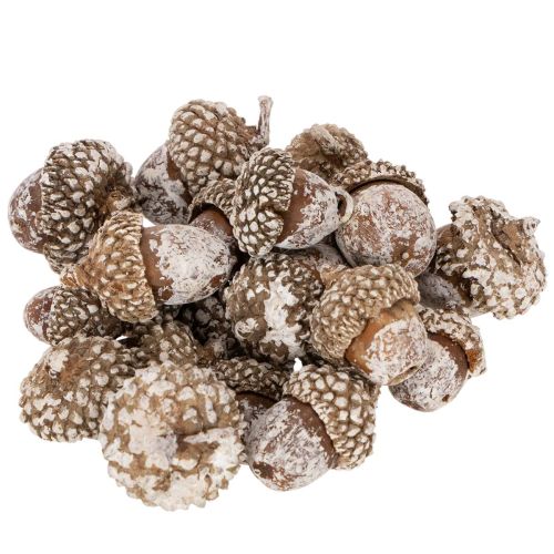 Żołędzie, produkt naturalny do dekoracji, bielone, 1-3 cm, 300 g