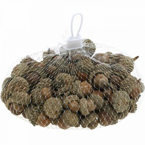Produkt Żołędzie do dekoracji, dekoracje jesienne, oczywiście jesienne owoce Ø1,5 - 2,5cm L1,5 - 3cm 300g