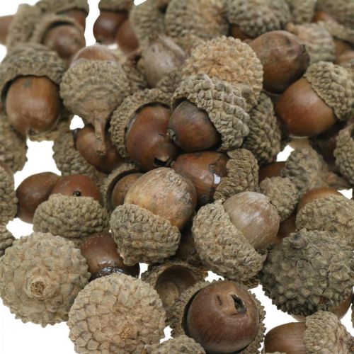 Produkt Żołędzie do dekoracji, dekoracje jesienne, oczywiście jesienne owoce Ø1,5 - 2,5cm L1,5 - 3cm 300g