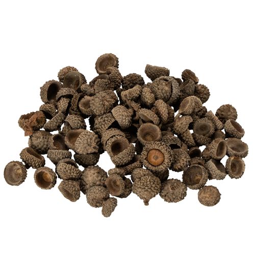 Naturalne czapeczki z żołędzi, ozdobne miseczki na jesień i adwent, 2 cm, 300 g kupić | Floristik24.pl