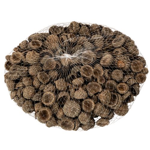 Naturalne czapeczki z żołędzi, ozdobne miseczki na jesień i adwent, 2 cm, 300 g | Floristik24.pl