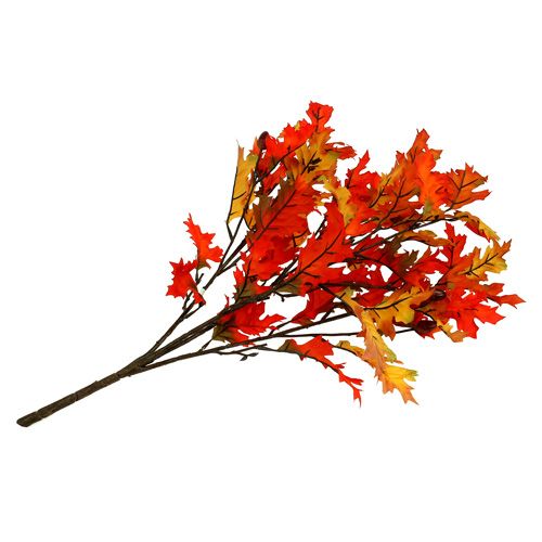 Floristik24 Krzew dębolistny pomarańczowy 56cm