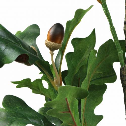 Floristik24 Sztuczna gałązka liścia dębu z żołędziami 90cm
