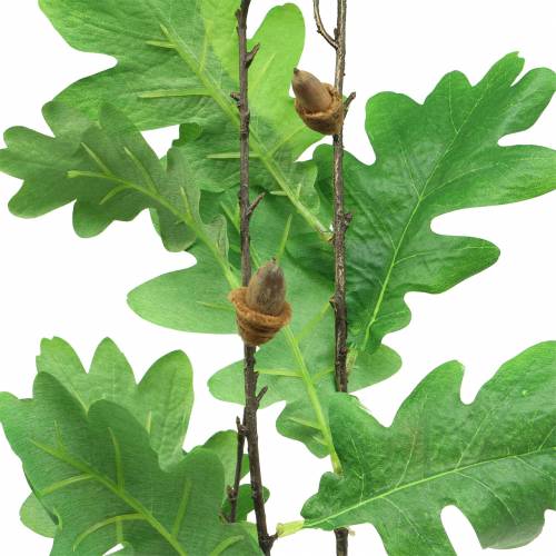 Floristik24 Gałąź dębu zielony 115cm