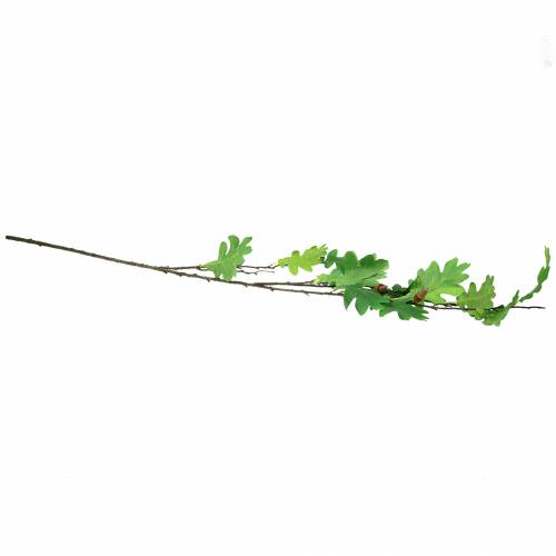 Floristik24 Gałąź dębu zielony 115cm