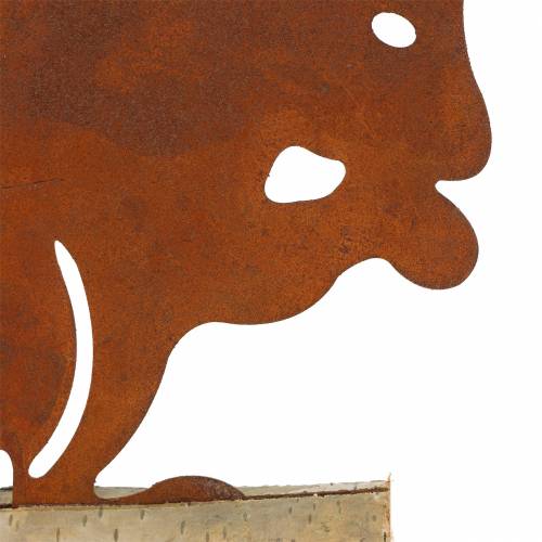 Floristik24 Wiewiórka Rdza na drewnianej podstawie 19cm x 25cm