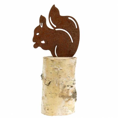 Floristik24 Wiewiórka patyna na pniu wys. 22cm